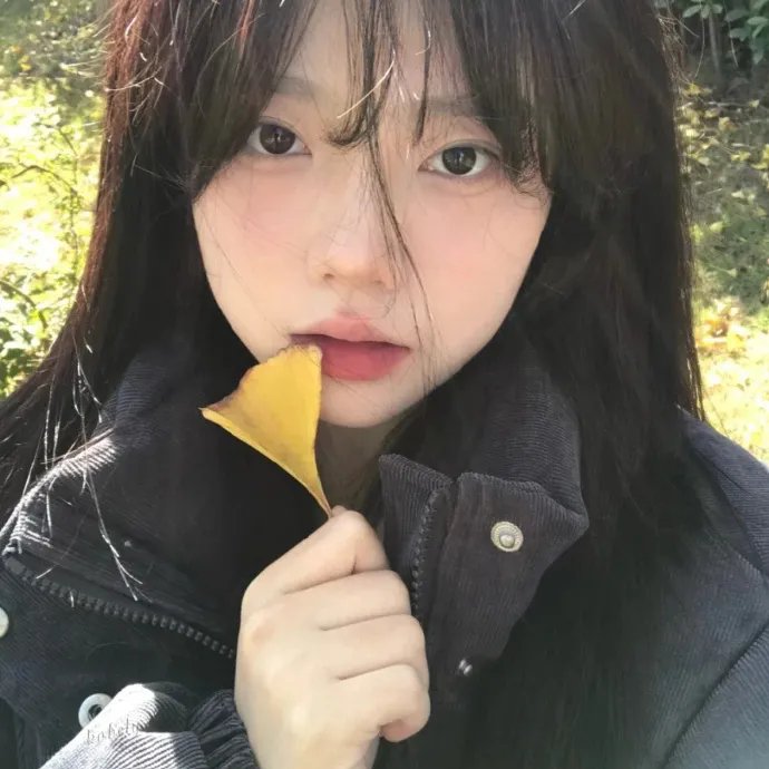 妮娜的一切