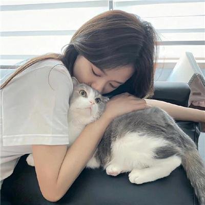 狂风飞絮